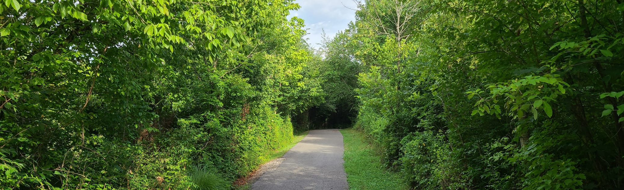 Turkey Creek Greenway, Tennessee 93 Reviews, Map AllTrails