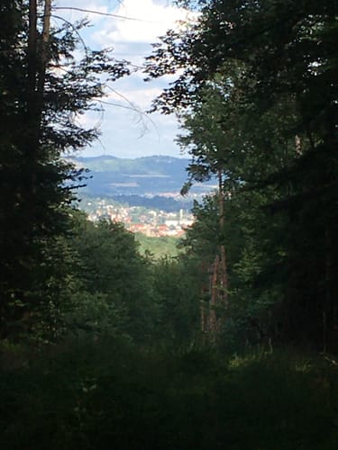 Baiersdorf - Willersdorf - Greuth - Zeckern