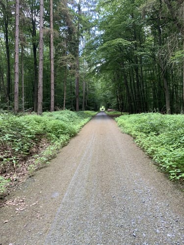 Alteburger Marktweg