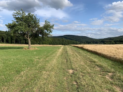 Alteburger Marktweg