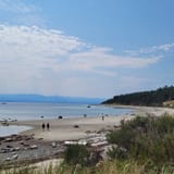 Savary Island Loop, British Columbia, Canada - 24 Reviews, Map | AllTrails