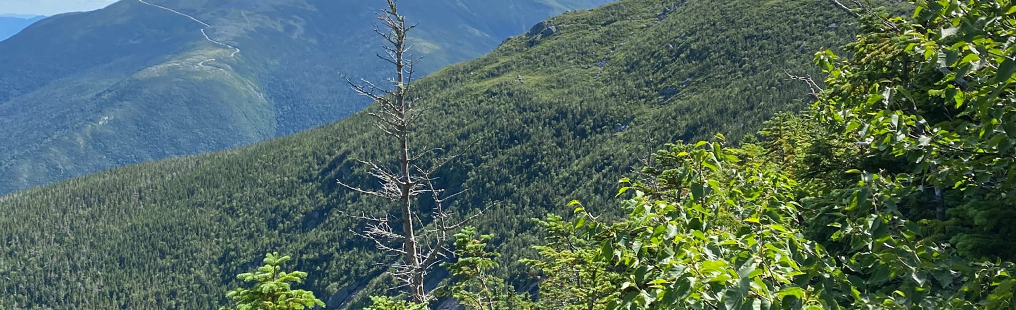 AllTrails Madison Gulf Trail via Mt. Washington Auto Road 17 Reviews