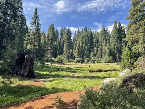 10 Best Waterfall Trails in Kings Canyon National Park | AllTrails