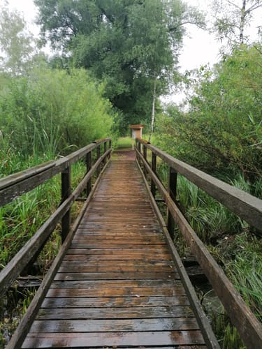 Rund um den Steeger See
