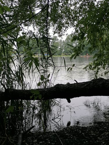 Rund um den Steeger See