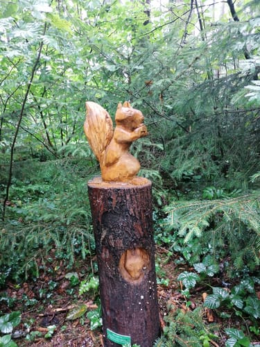 Rund um den Steeger See