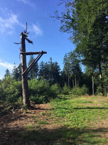 Ulmen: Berenbach - Vulkanweg