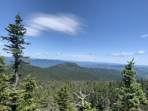 are dogs allowed hiking trails white mountains