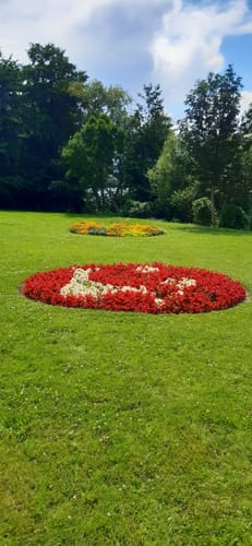 Rund um Kelsterbach
