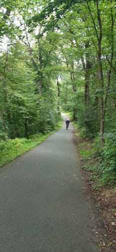 Rund um Kelsterbach