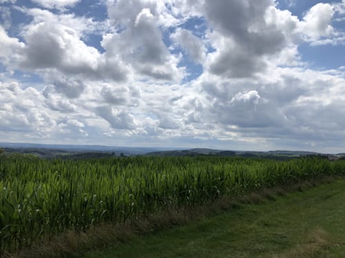 Kohlberg - Hagdorn