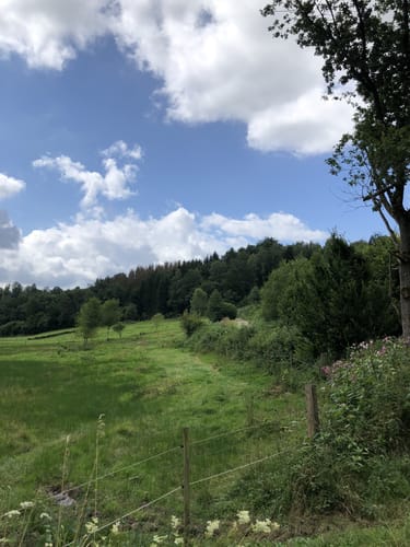 Kohlberg - Hagdorn