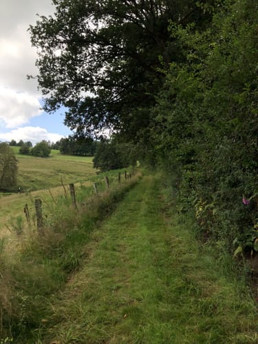 Kohlberg - Hagdorn