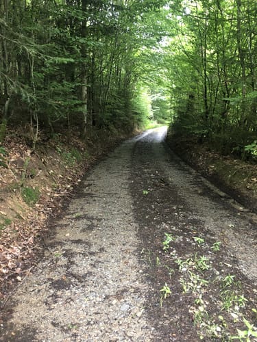 Kleiner Totenweg