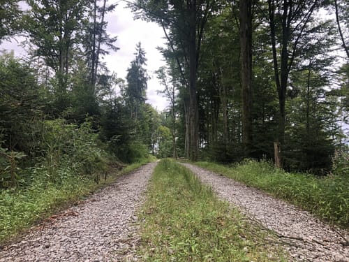 Kleiner Totenweg