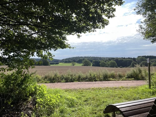 Saar-Hunsrück-Steig Etappe 5: Losheim am See - Weiskirchen