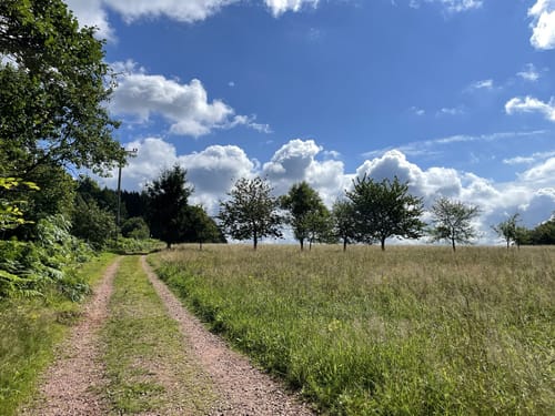 Saar-Hunsrück-Steig Etappe 5: Losheim am See - Weiskirchen