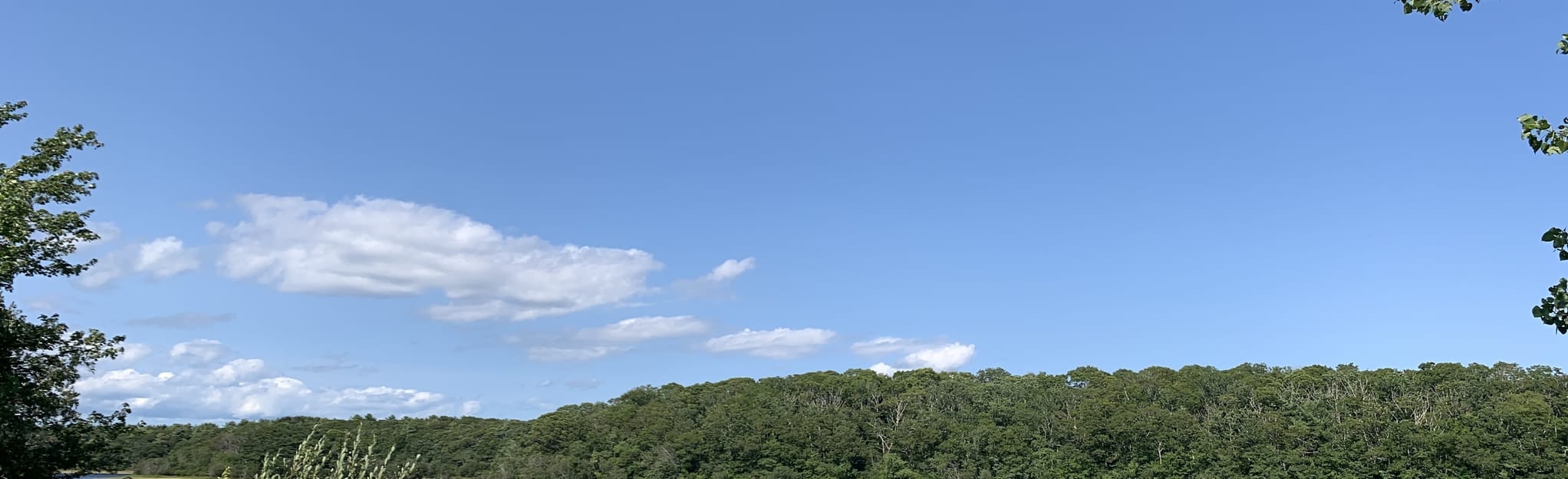 Long Pond Trail Massachusetts AllTrails