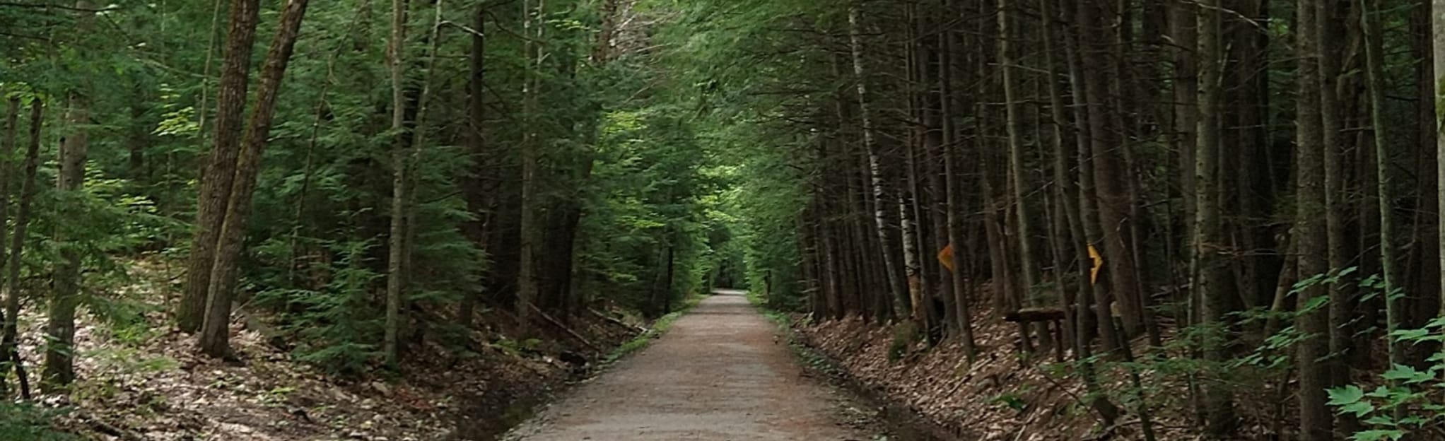 Stevens Rail Trail, New Hampshire 54 Reviews, Map AllTrails