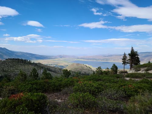 Timberline trail outlet alltrails