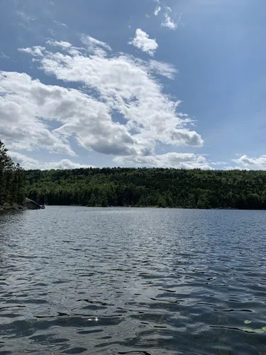 2023 Best Forest Trails in Danforth AllTrails