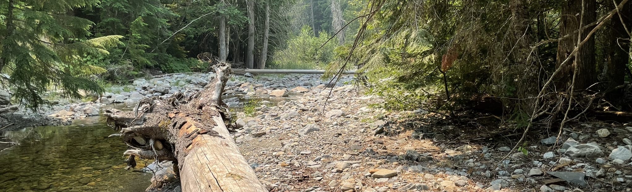 East Fork Peak, Idaho 5 Reviews, Map AllTrails