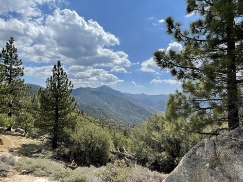 Best dog friendly trails in Big Bear Lake AllTrails