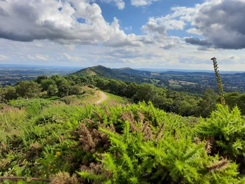 Malvern Hills, Outdoor Activities, Wildlife & Geology