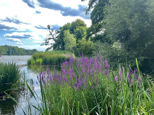 Rundweg Großer Dutzendteich