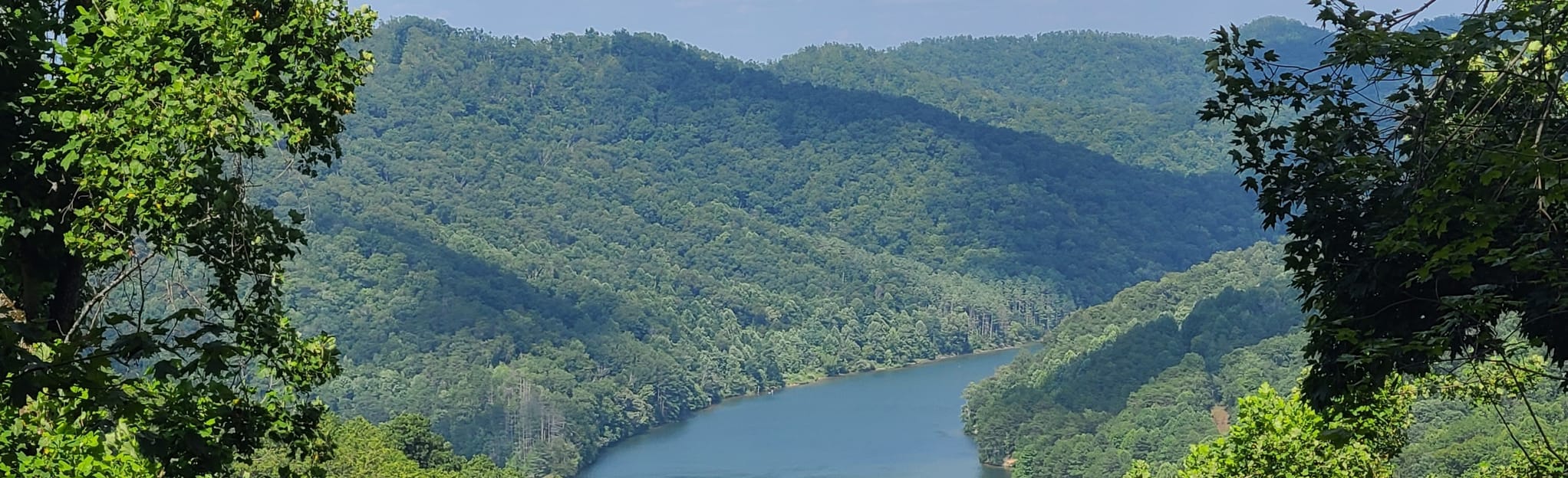 Sugarcamp Mountain MultiUse Trail Loop 166 foto Kentucky AllTrails