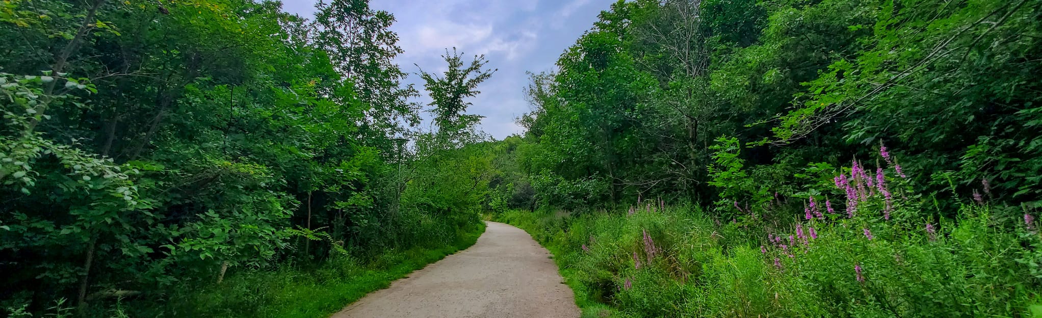 Cedarvale Park 158 Reviews, Map Ontario, Canada AllTrails