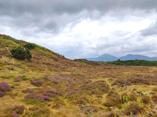 Mourne Mountains Area of Outstanding Natural Beauty Die 10 besten