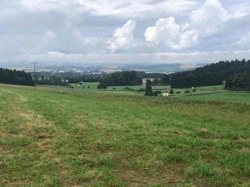 Waldcafe nach Hochemmingen