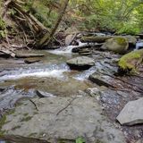 Reynolds Gully Falls, New York - 123 Reviews, Map | AllTrails