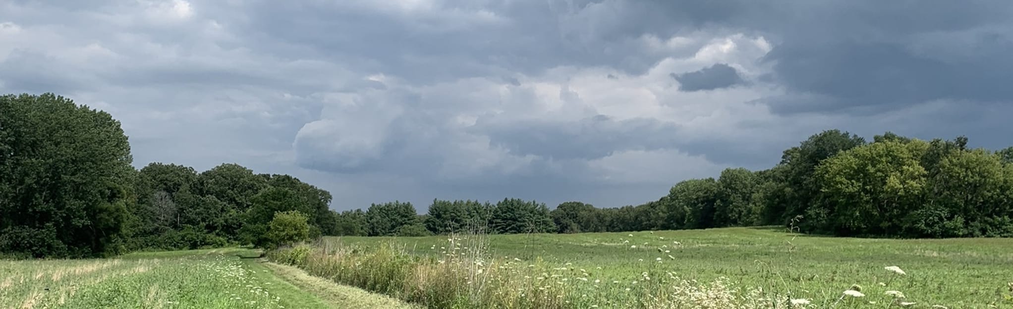 Grunwald Fishing Pond and Woodlands Trail, Illinois 28 Reviews, Map