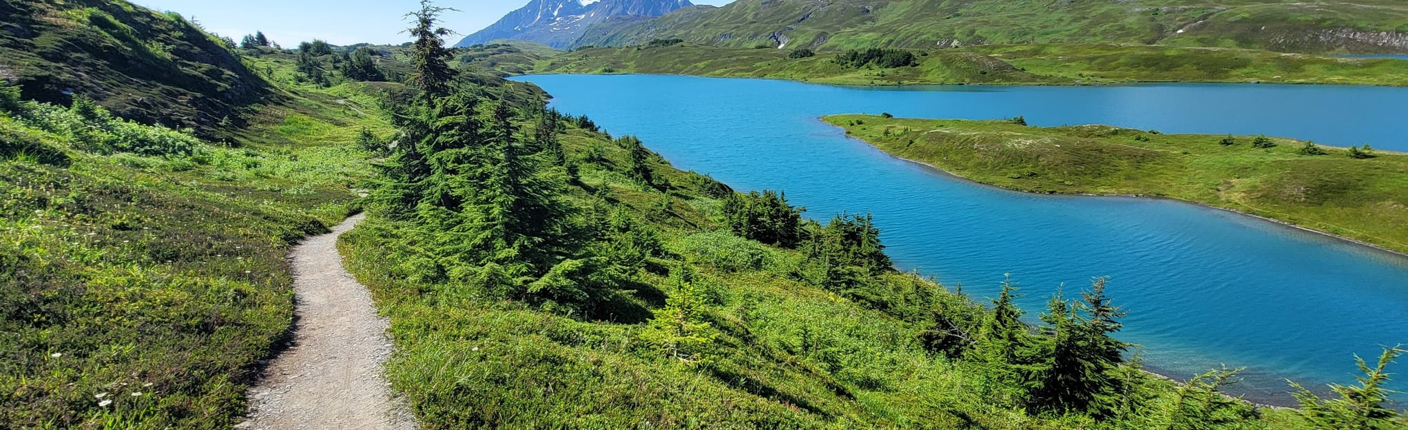 Lost Lake via Primrose Trail, Alaska - 205 Reviews, Map | AllTrails