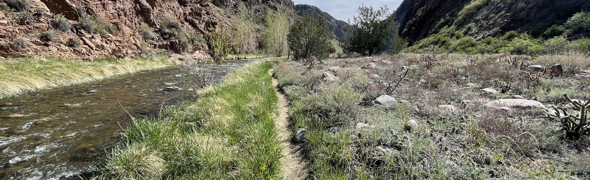 Temple Canyon Grape Creek Hike, Colorado - 14 Reviews, Map | AllTrails