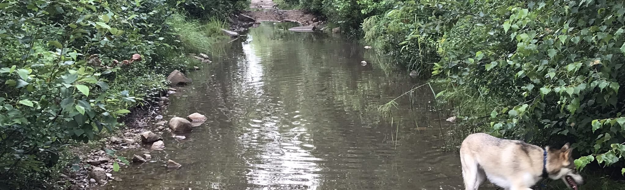 Old Halifax, Big Hubley Lake and Dog Road 10 Reviews, Map Nova