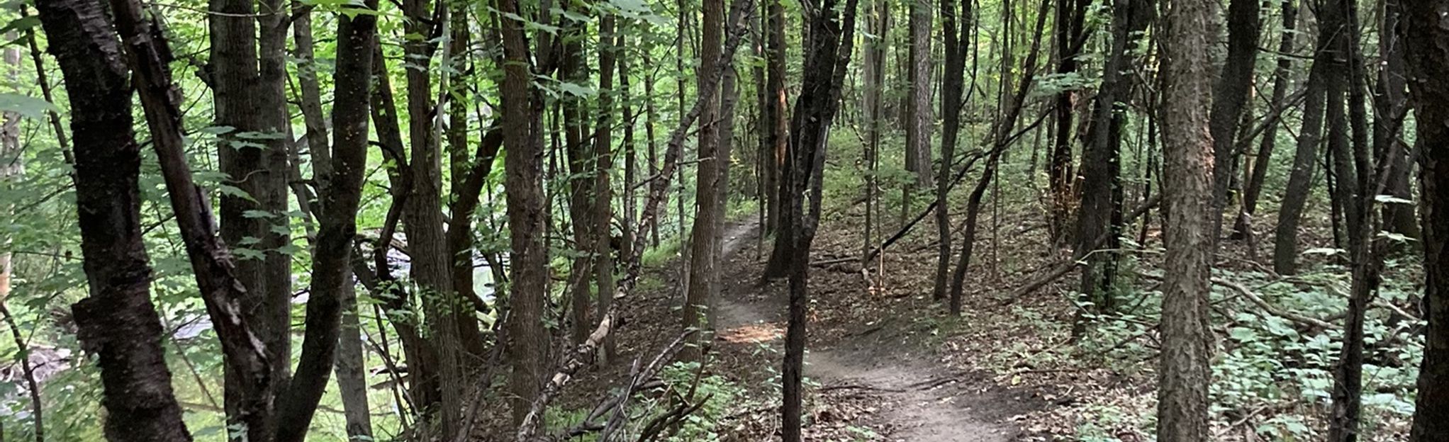 Heath Creek Trail: 32 Reviews, Map - Minnesota | AllTrails