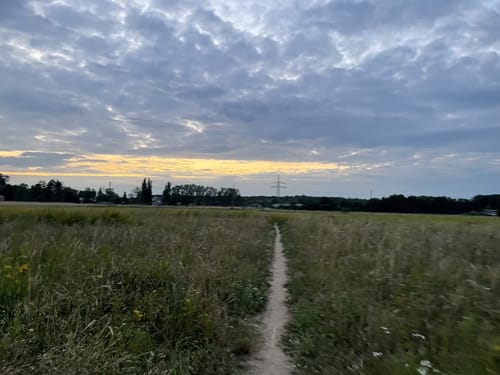 Um den Moorhüttenteich