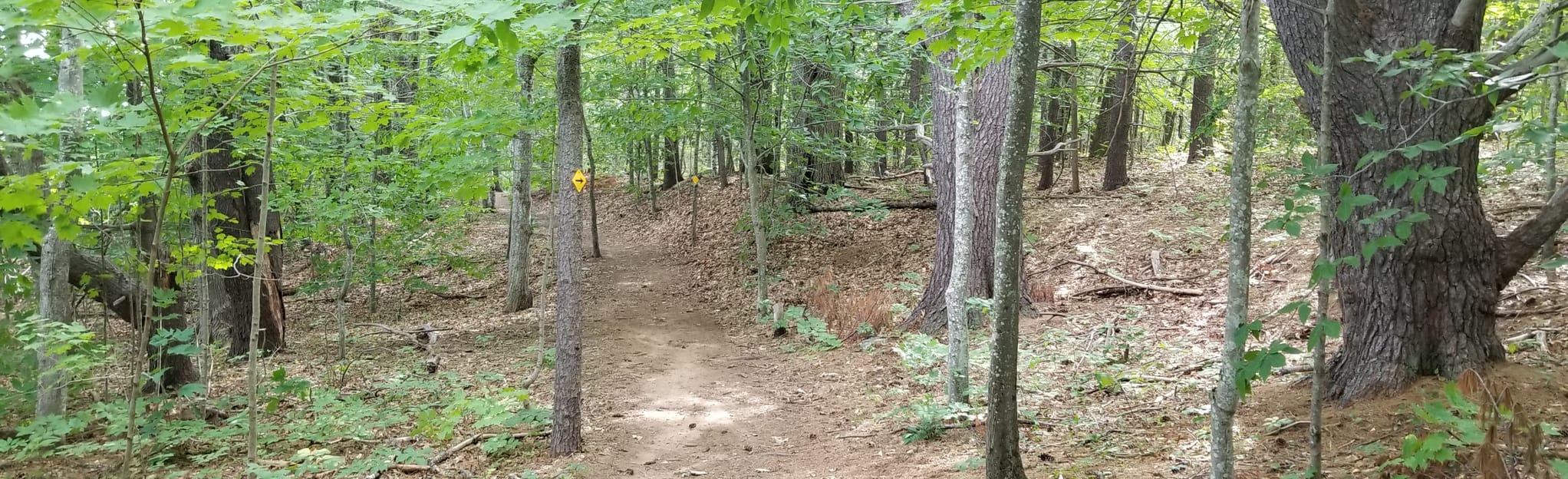 Lowell Preserve Blue Trail Loop, Maine 174 Reviews, Map AllTrails