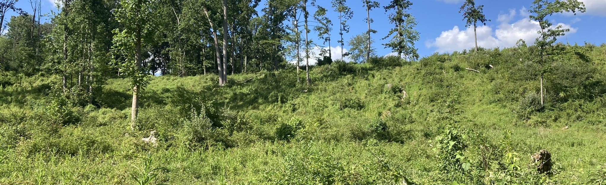 Ridley Creek State Park Horse Loop, Pennsylvania 333 Reviews, Map