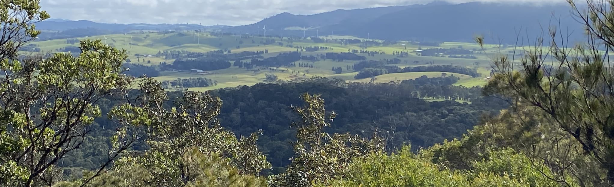 Cardwell Range Track and Majors Mountain Queensland, Australia