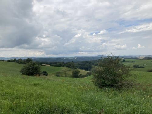 Naturpark Südeifel Wanderweg Nr. 14 - Jucken