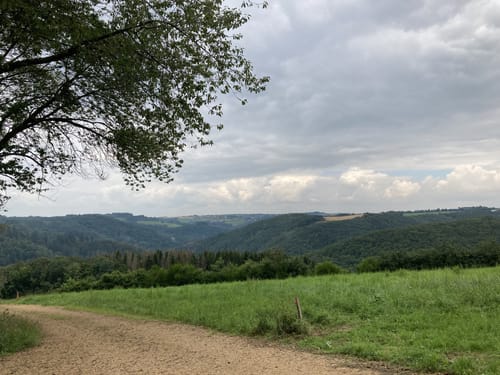 Naturpark Südeifel Wanderweg Nr. 14 - Jucken