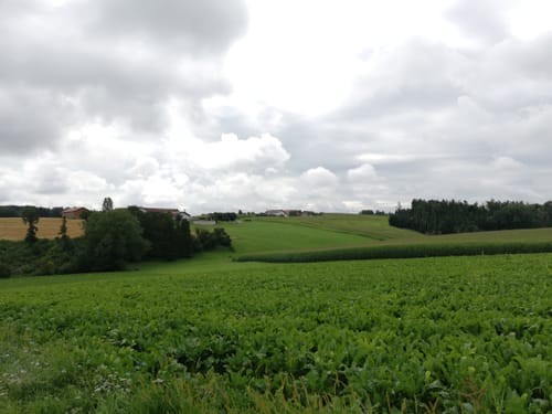 Arnstorfer Wanderroute 2 "Panoramaweg"