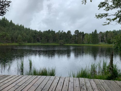 Blindenseerunde