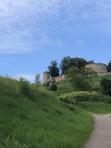 WT7 Wein- und Rosenrundweg Weinsberg