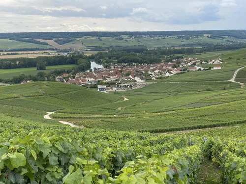 Parc naturel r gional de la Montagne de Reims les 10 meilleures