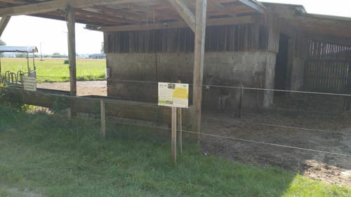Erlebnis-Radweg Holzwinkel & Altenmünster (Altenmünster)